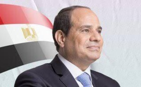 الرئيس السيسي يناقش مع مستشار النمسا مستجدات الأوضاع في غزة وسوريا ولبنان