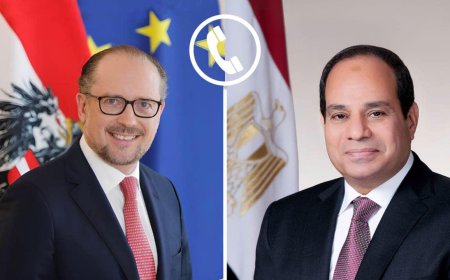 السيسي يدعو المستشار النمساوي لتكاتف الجهود لإعادة إعمار غزة