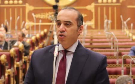 وزير الشؤون النيابية يناقش طلبين عامين في مجلس الشيوخ