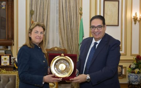 رئيس جامعة القاهرة يستعرض تاريخ التعاون مع الجامعات الفرنسية وأهم مجالاته ومستجداته