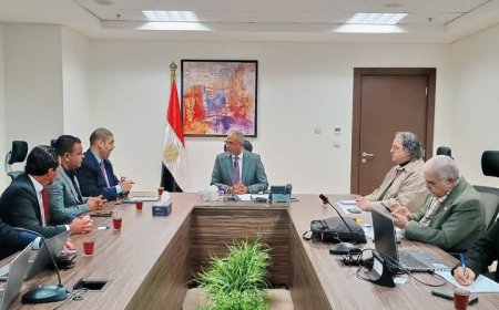 نائب وزير الإسكان يلتقي مسئولي ‏التحالفات العالمية لصناعة المواتير وأنظمة التحكم و العدادات الذكية