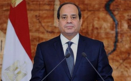 الرئيس عبد الفتاح السيسي يوضح هدف نشر قوات مصرية في الصومال