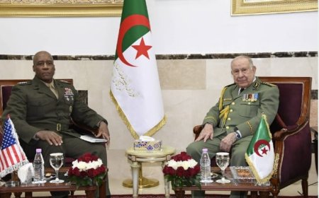 مسؤول عسكري أميركي رفيع يزور الجزائر