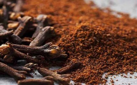 القرنفل فوائد سحرية خارقة..تعرف عليها