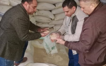 محافظة الجيزة تضبط 130 طن سلع غذائية وتموينية مجهولة المصدر في حملات رقابية مكثفة