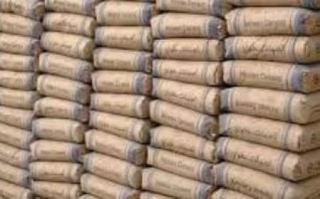 اليوم..جدل حول أسعار طن الأسمنت