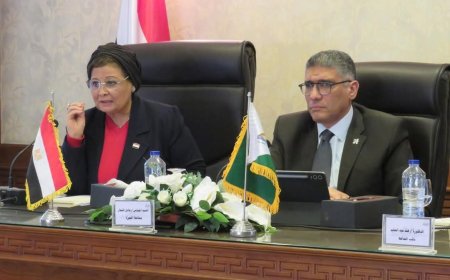 نائب وزير الصحة لتنمية الأسرة تشارك في اجتماع المجلس الإقليمي للسكان بمحافظة الجيزة