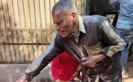 أول صور للحارس الذي التهمه أسد في الفيوم.. تفاصيل الحادث المروع