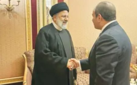 الدكتور مجدى كامل الهوارى يكتب: تهديد شخص الرئيس بصورة لن يمر مرور الكرام.. هذا «قلة أدب»