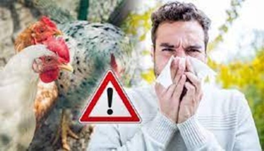 "إنفلونزا الطيور H5N1: تحذيرات عالمية من تطورات مقلقة وتهديد لصحة البشر"