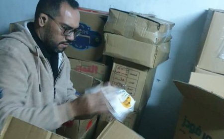 ضبط 10 طن لحوم وأسماك فاسدة بالجيزة خلال حملات تفتيشية مشددة