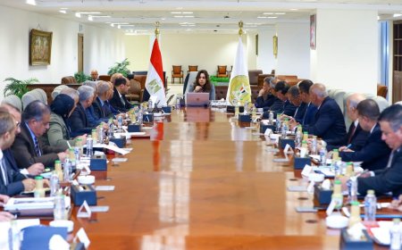 قوافل إنسانية لدعم فلسطين وتشديد الإجراءات على مخالفات البناء: تفاصيل إجتماع وزيرة التنمية المحلية