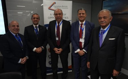 مصر والمملكة المتحدة: آفاق جديدة في صناعة الطيران المدني