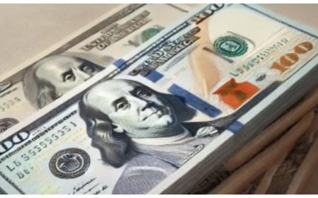 تعرّف على سعر الدولار اليوم في البنوك المصرية: الثلاثاء 4 فبراير 2025