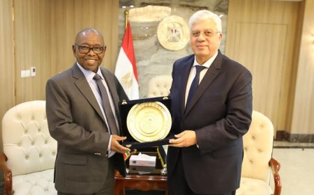 مصر وجنوب إفريقيا تبحثان تعزيز التعاون في التعليم العالي والبحث العلمي
