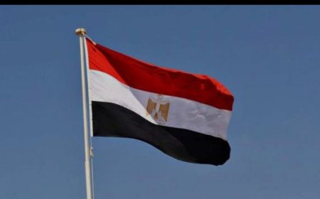 صحيفة التايمز البريطانية: مصر تحذر من خطة ترامب لقطاع غزة: تهديد خطير لاتفاقية السلام مع إسرائيل