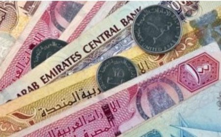 استقرار سعر الدرهم الإماراتي اليوم السبت 8 فبراير 2025 في البنوك المصرية
