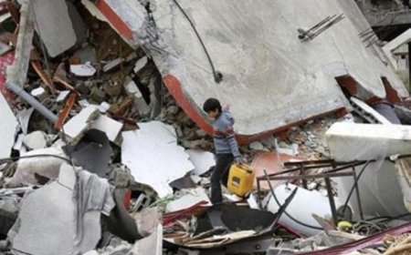 تحلل الجثث في شوارع غزة يفاقم الأزمة الصحية وسط انتشار الأوبئة