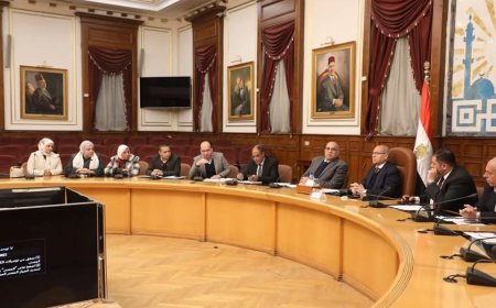 محافظ القاهرة: ميكنة الخدمات الصحية خطوة نحو مستقبل طبي متطور