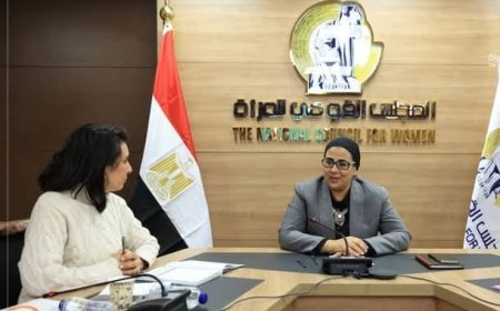 أمل عمار تلتقي بمؤسسة سيف لتعزيز التعاون في قضايا العنف ضد المرأة والطفل وتمكين الأسرة