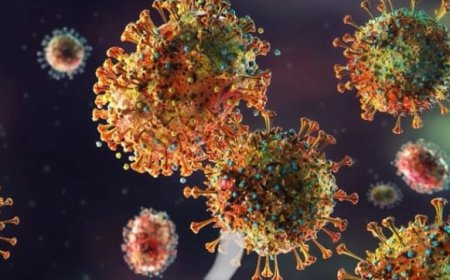 فيروس جديد في أمريكا يهاجم الكلى والكبد والمخ: تهديد محتمل للبشرية