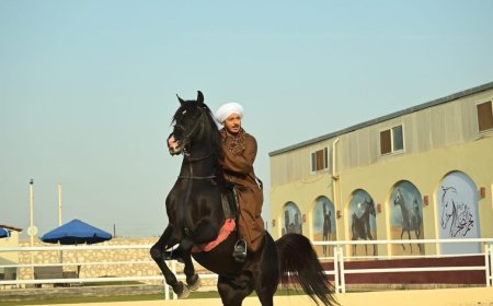 مصطفى شعبان يتصدر التريند بـ«حكيم باشا» بعد طرح البرومو الرسمي