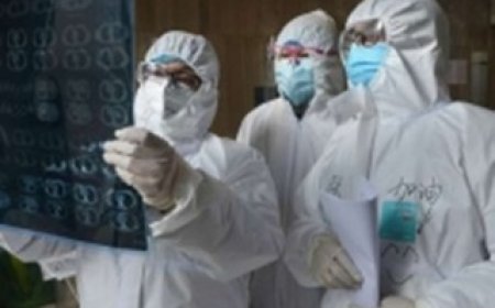 دراسة هارفارد تكشف تأثير الميكروبيوم المعوي على هشاشة العظام