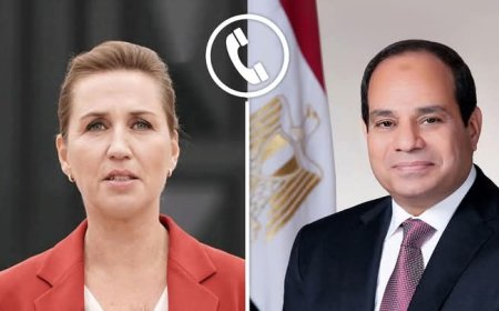 الرئيس السيسي يبحث مع رئيسة وزراء الدنمارك تعزيز الشراكة والتطورات الإقليمية