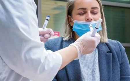 كيف يتفاعل الدماغ مع حاستي الشم والسمع؟