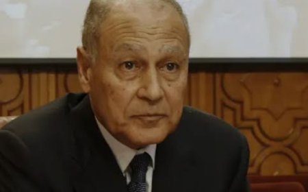 أبو الغيط: العالم العربي موحد ضد محاولات تهجير الفلسطينيين