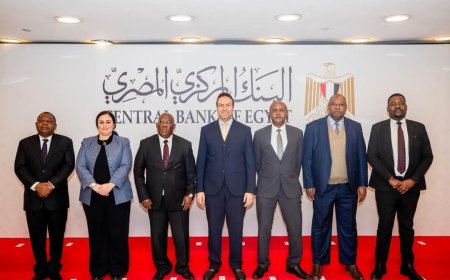 البنك المركزي المصري يبحث التعاون الرقمي مع نظيره التنزاني