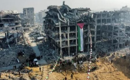 خطة الستة مبادئ حول غزة.. تعلنها مصر في القمة العربية