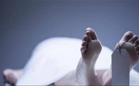 وفاة لص صعقًا أثناء محاولته سرقة محول كهرباء في أكتوبر