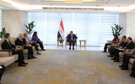 رئيس الوزراء يبحث مع مفوضة الاتحاد الأوروبي تعزيز التعاون في مجالات الاستثمار والطاقة والهجرة