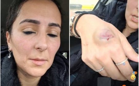 اليوم.. المحكمة تنظر دعوى نفقة طبيبة الشيخ زايد ضد أهل زوجها الراحل