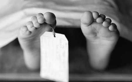 أم تنقذ طفليها وتفشل في إنقاذ الصغيرة.. مصرع طفلة بحريق في المنوفية