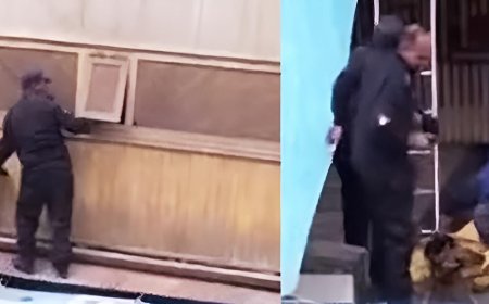 الحماية المدنية ببورسعيد تنقذ كلبًا عالقًا على تندة عمارة بعد محاولته الوصول إلى كلبة أخرى