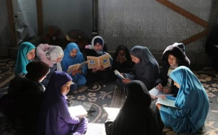 تقييمات الخطة المصرية لإعادة إعمار غزة: انكماش الاقتصاد 83 %