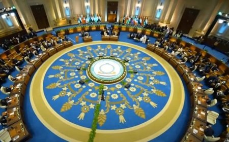 أبرز التصريحات الهامة للقادة العرب خلال القمة الطارئة في مصر