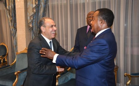 وزير الخارجية يسلم رسالة من الرئيس السيسي إلى رئيس الكونجو