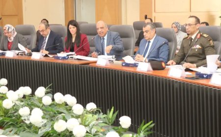 المجلس الأعلى للطاقة يوافق على توفير الطاقة لـ 14 مشروعًا صناعيًا جديدًا