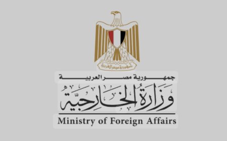 مصر تعرب عن قلقها إزاء تطورات الأوضاع في سوريا وتدعو للحل السياسي