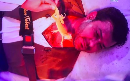 محمد رجب يكشف زواجه السري من دانا الحلبي بعد عام ونصف من الصمت