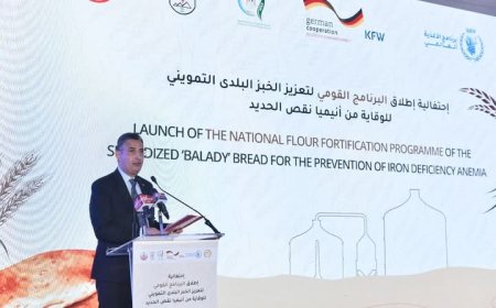 وزارة التموين تطلق البرنامج القومي لتعزيز الخبز البلدي المدعم للوقاية من أنيميا نقص الحديد