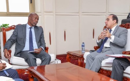 سفير مصر لدى كينيا يبحث تعزيز التعاون التجاري والاستثماري