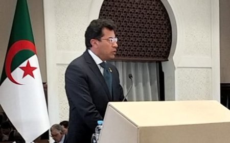 مصر تدعم الرياضة الأفريقية.. «صبحي» يشهد اجتماع «الأنوكا» بالجزائر