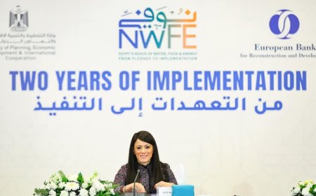 «المشاط»: 6.7 مليار جنيه استثمارات عامة بخطة 2025/2024 لربط 4 مشروعات طاقة متجددة ضمن برنامج «نوفي»