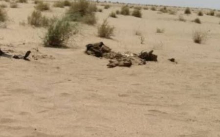 العثور على جثة طفل في شوال بطريق السلوم.. والدته وزوجها وراء الجريمة