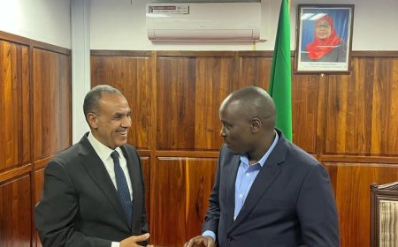 وزير الخارجية يبحث تعزيز التعاون الثنائي مع نائب رئيس الوزراء ووزير الطاقة التنزاني