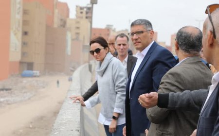 محافظ الجيزة يتفقد أعمال تحسين الصورة البصرية للطريق الدائري 